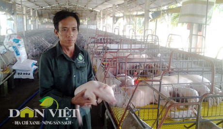 So e hang, nha nong do xo nuoi heo VietGAP - Anh 1