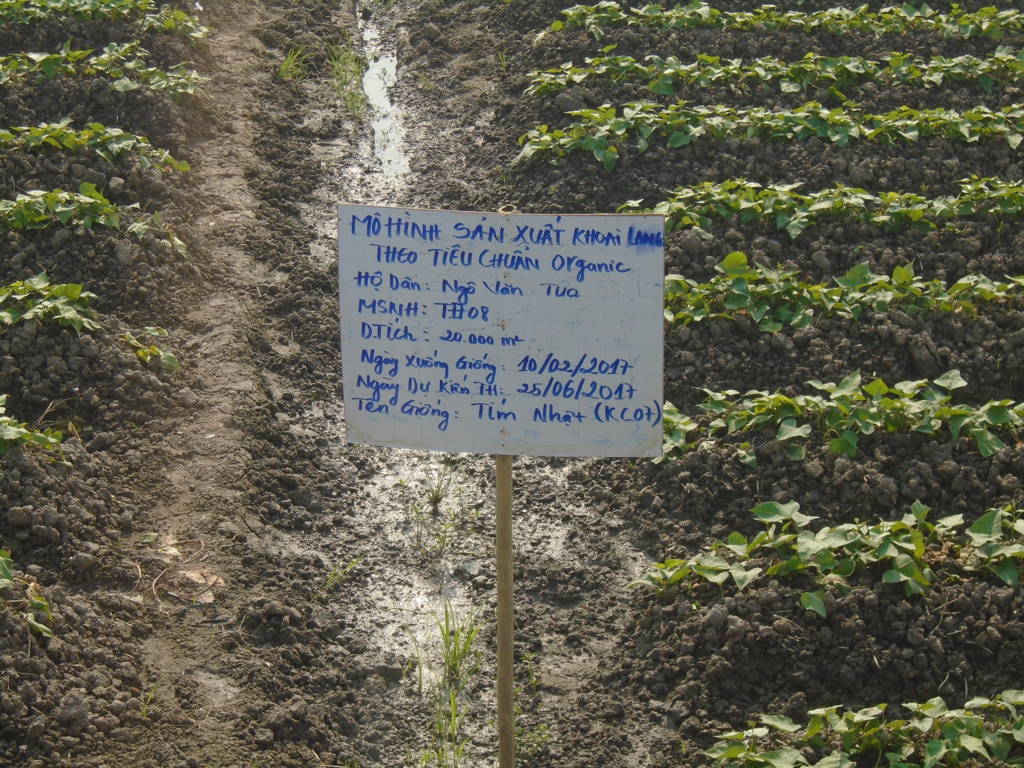 đào tạo Organic EU và Mỹ (NOP)