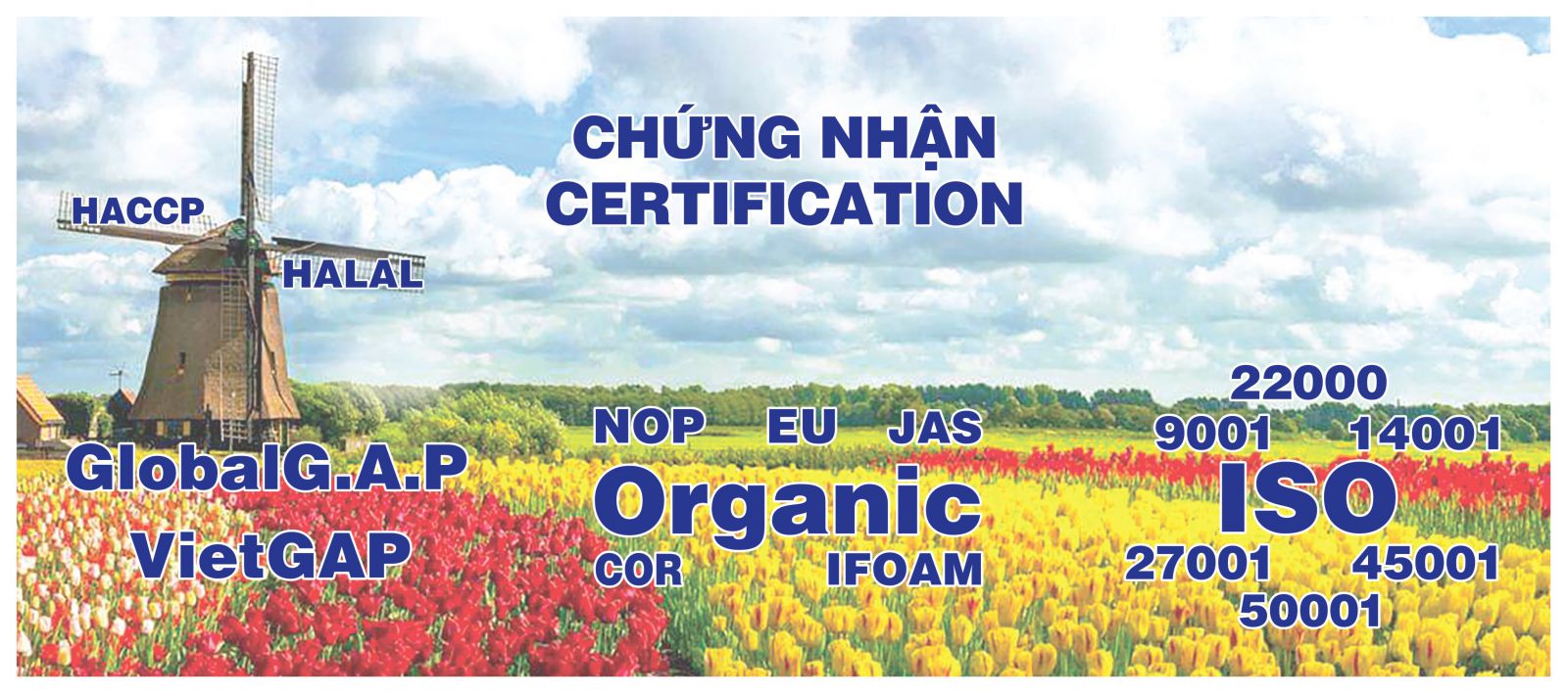 Chứng nhận