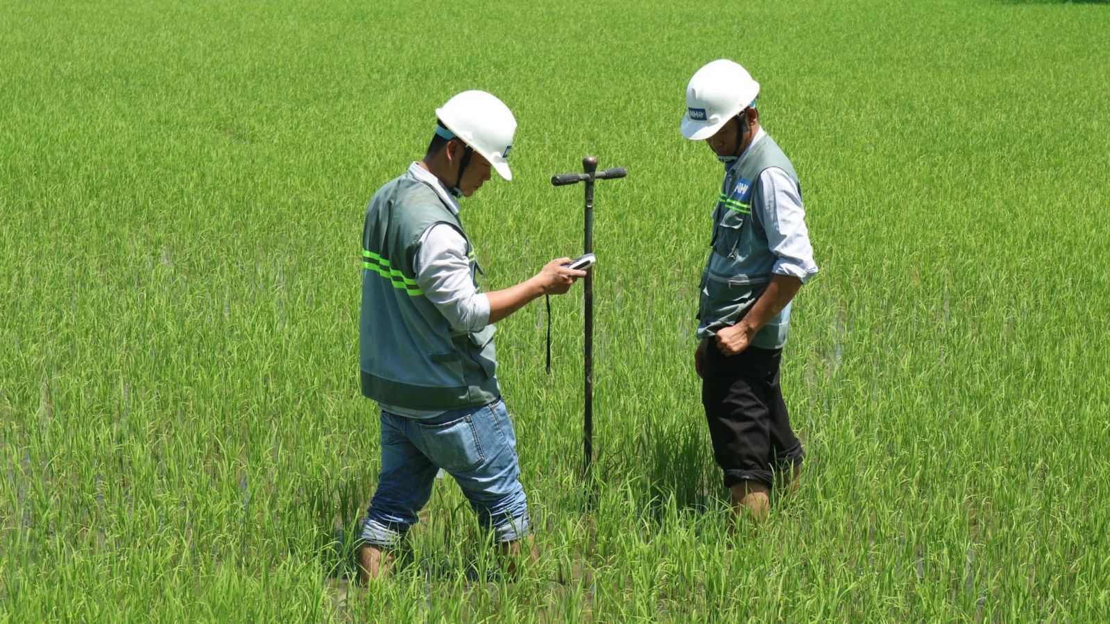 Quan trắc môi trường