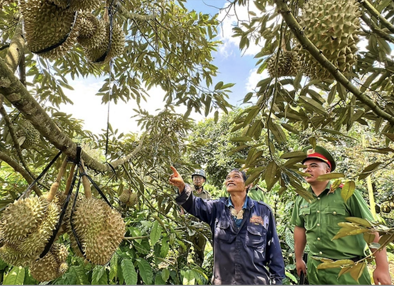 iệt Nam chủ động tạm dừng, thu hồi các mã số này để rà soát lại hệ thống, yêu cầu các biện pháp khắc phục để đáp ứng yêu cầu nước nhập khẩu.